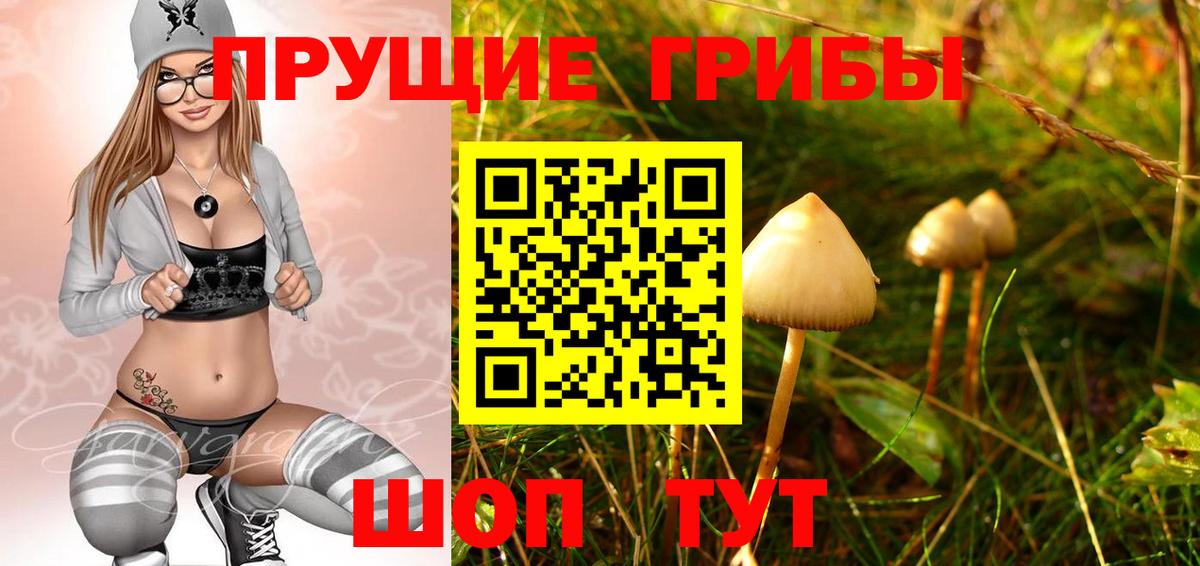 Заречный  Галлюциногенные грибы прущие грибы  Вход с VPN 