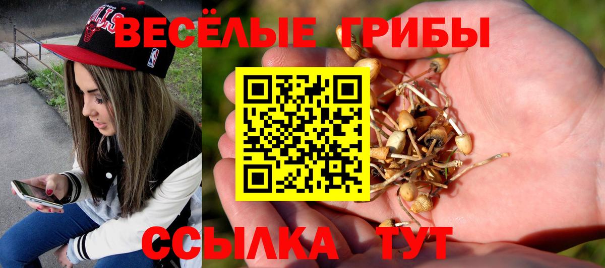 Галлюциногенные грибы Psilocybe Заречный